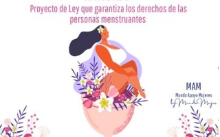 proyecto_Ley